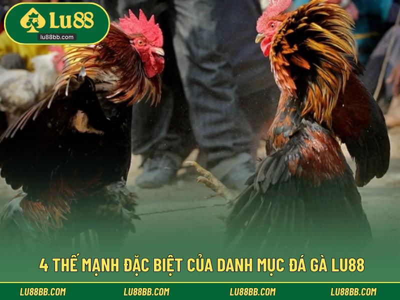 4 thế mạnh đặc biệt của danh mục đá gà LU88