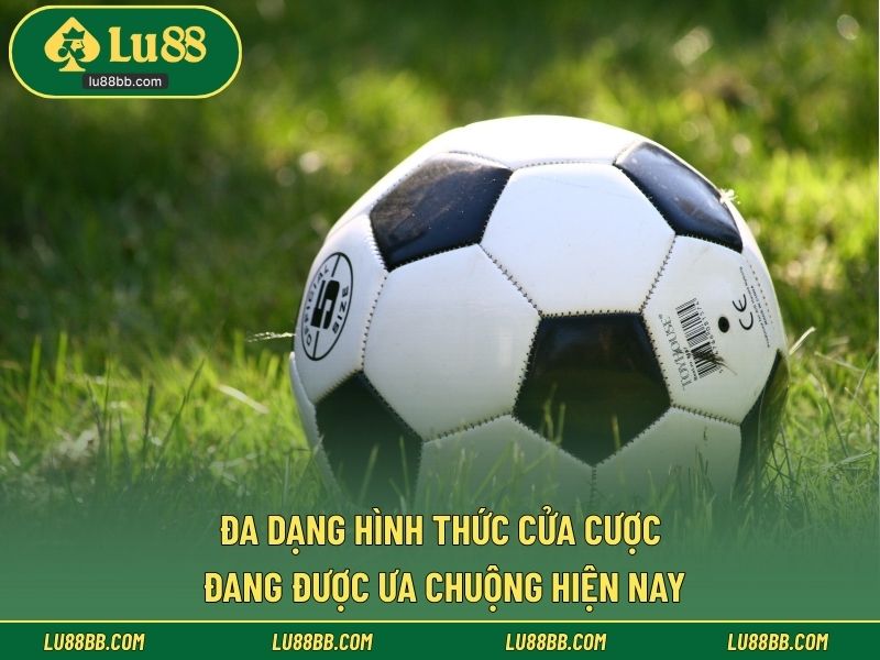 Đa dạng hình thức cửa cược đang được ưa chuộng hiện nay