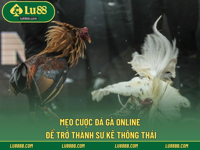 Mẹo Cược Đá Gà Online