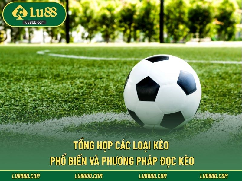 Tổng hợp các loại kèo phổ biến và phương pháp đọc kèo